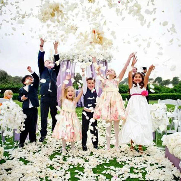 Artificial Silk Rose Petals (500–3000 pcs) – Romantic Wedding Decoration – Table or Aisle Scatter