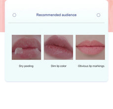 Moisturizing Lip Balm Set (4/6/8 pcs) – Natural Plant Base – Hydrating Crack-Repair